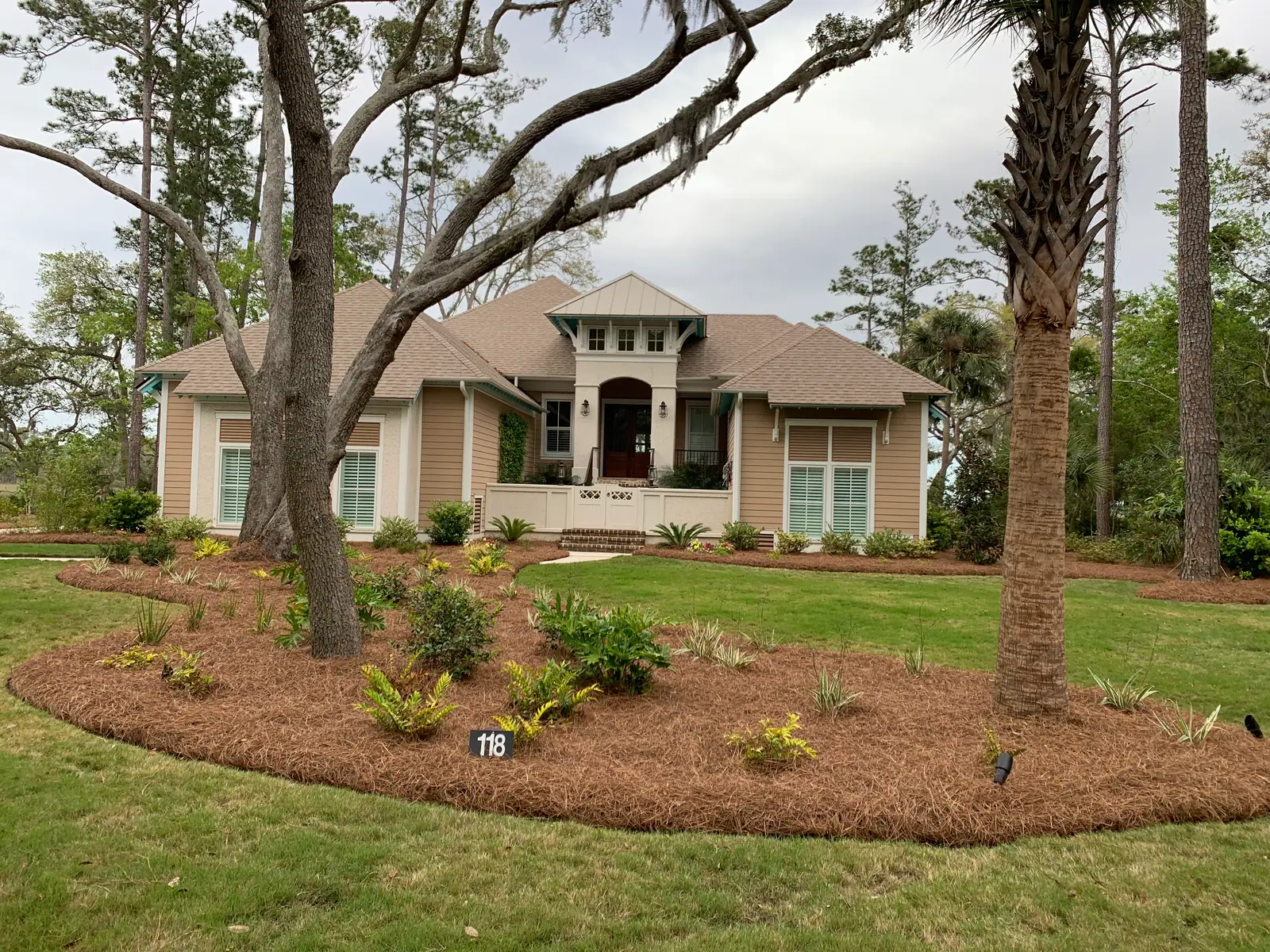 A freshly mulched landscape with longleaf pinestraw